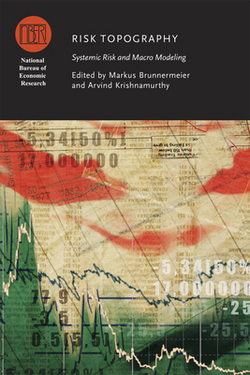 Risk Topography|Markus Brunnermeier