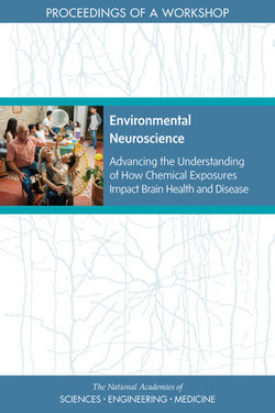 Environmental Neuroscience|National Academies of Sciences Engineeri