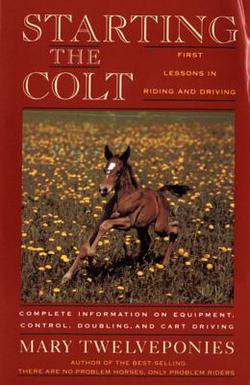Starting the Colt|Mary Twelveponies