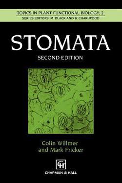 Stomata|M. Fricker