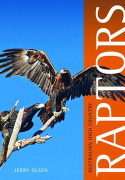 Australian High Country Raptors|Jerry Olsen