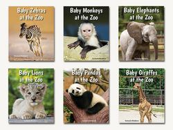 All about Baby Zoo Animals