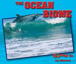 The Ocean Biome|Colin Grady