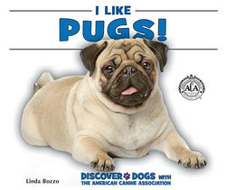 I Like Pugs!|Linda Bozzo