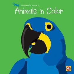 Animals in Color|Sebastiano Ranchetti