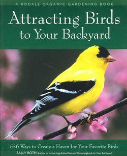 Attracting Birds to Your Backyard|Sally Roth