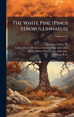 The White Pine (Pinus Strobus Linnaeus)|Volney M. (Volney Morgan) Spalding