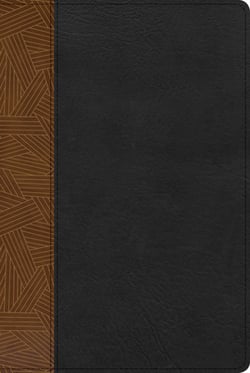 Rvr 1960 Biblia de Estudio Arcoiris, Tostado/Negro Símil Piel Con Índice|B&h Español Editorial