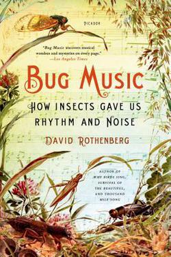 Bug Music|David Rothenberg