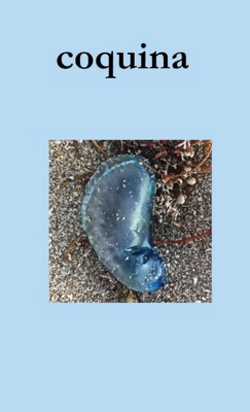 coquina|John Martone