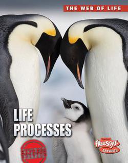 Life Processes|Anna Claybourne