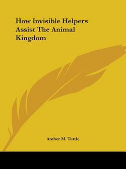 How Invisible Helpers Assist The Animal Kingdom|Amber M. Tuttle