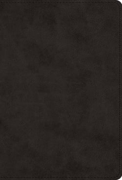 The Greek New Testament, Produced at Tyndale House, Cambridge (Trutone, Black)|Esv Bibles
