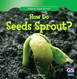 How Do Seeds Sprout?|Evan Rhodes