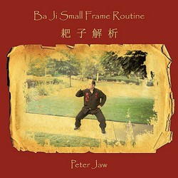 Ba Ji Small Frame Routine|Peter Jaw