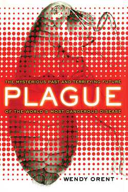 Plague|Wendy Orent