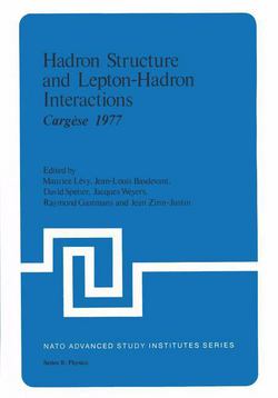 Hadron Structure and Lepton-Hadron Interactions|Maurice Levy
