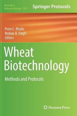 Wheat Biotechnology|Prem L. Bhalla