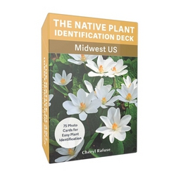 The Native Plant Identification Deck|Cheryl Rafuse