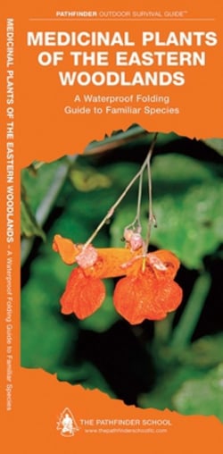 Medicinal Plants of the Eastern Woodlands|Dave Canterbury