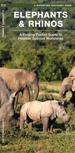 Elephants & Rhinos|James Kavanagh