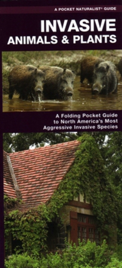 Invasive Animals & Plants|James Kavanagh