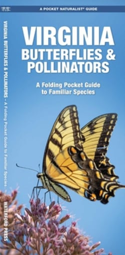Virginia Butterflies & Pollinators|James Kavanagh