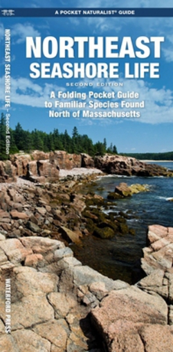 Northeast Seashore Life, 2nd Ed|J. M. Kavanagh