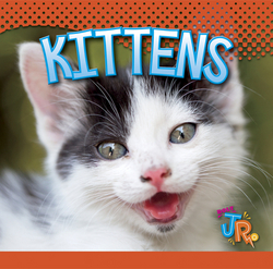 Kittens|Jen Besel