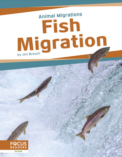 Fish Migration|Jen Breach