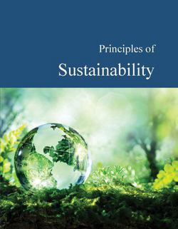 Principles of Sustainability|Donald Franceschetti