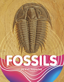 Fossils|Keli Sipperley