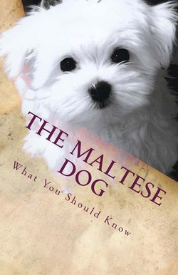 The Maltese Dog|Victor Santos