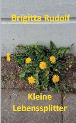 Kleine Lebenssplitter|Brigitta Rudolf