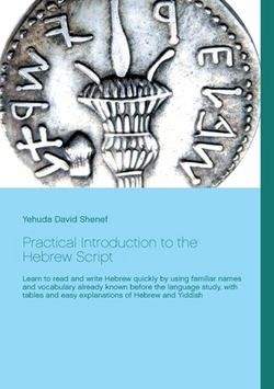 Practical Introduction to the Hebrew Script|Yehuda David Shenef