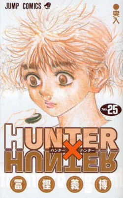 Hunter X Hunter 25|Yoshihiro Togashi
