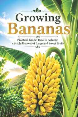 Growing Bananas|Svitana