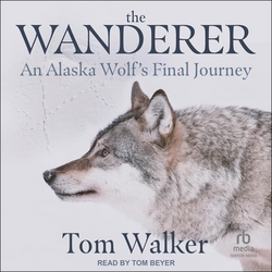 The Wanderer|Tom Walker