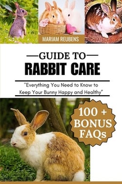Guide to Rabbit Care|Mariam Reubens