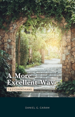 A More Excellent Way|Daniel G. Caram