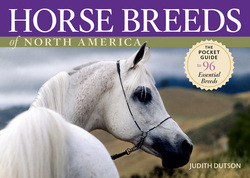 Horse Breeds of North America|Judith Dutson