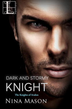 Dark and Stormy Knight|Nina Mason